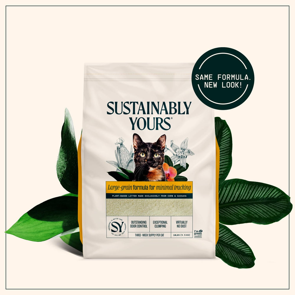 Sustainably Yours lifestyle intérieur montrant maison propre et air moins poussiéreux