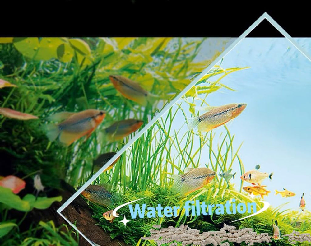 SuSulaicai aquarium avec substrat naturel améliorant esthétique et équilibre