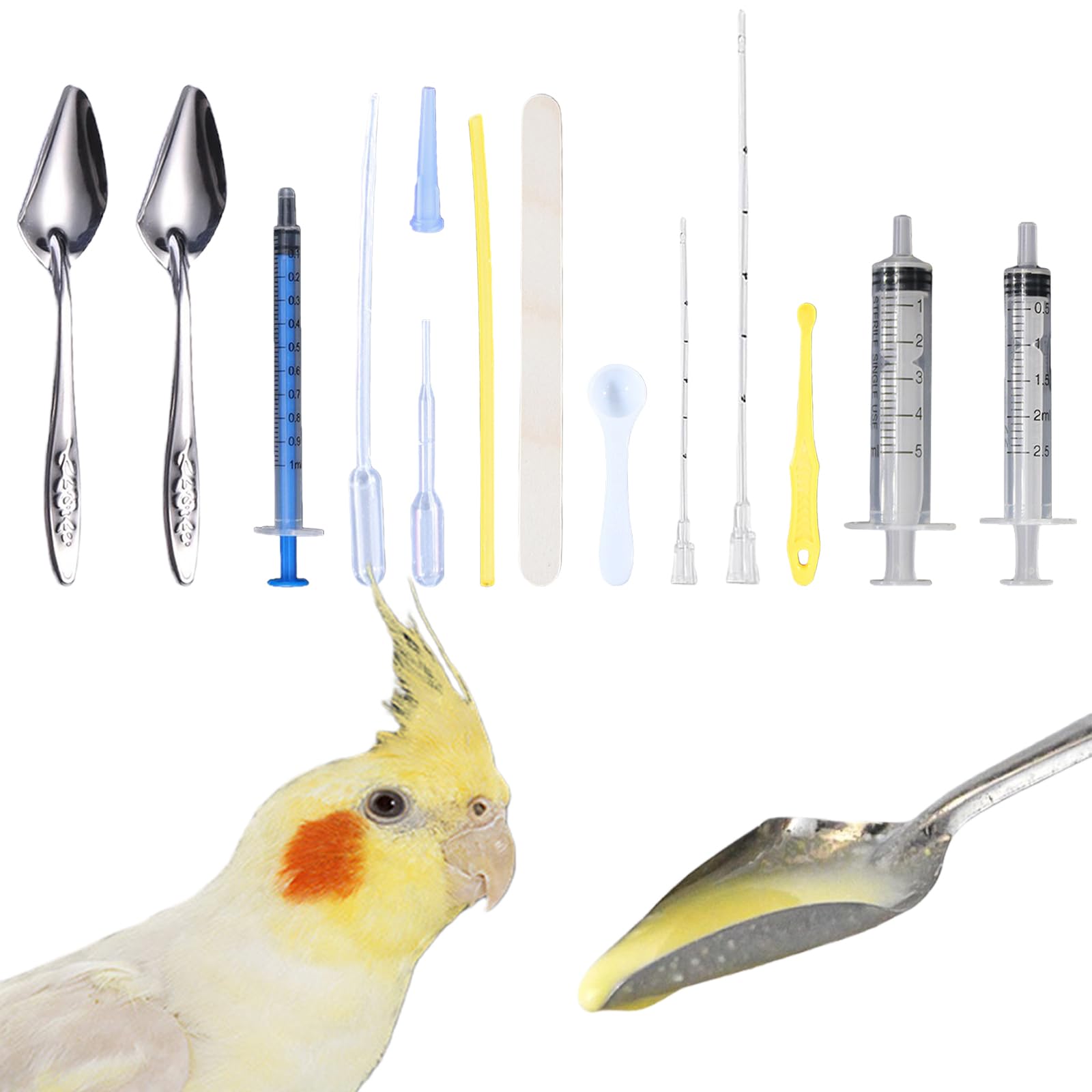 Suxgumoe coffret complet montrant tous les éléments pour nourrir les oisillons, gain de temps