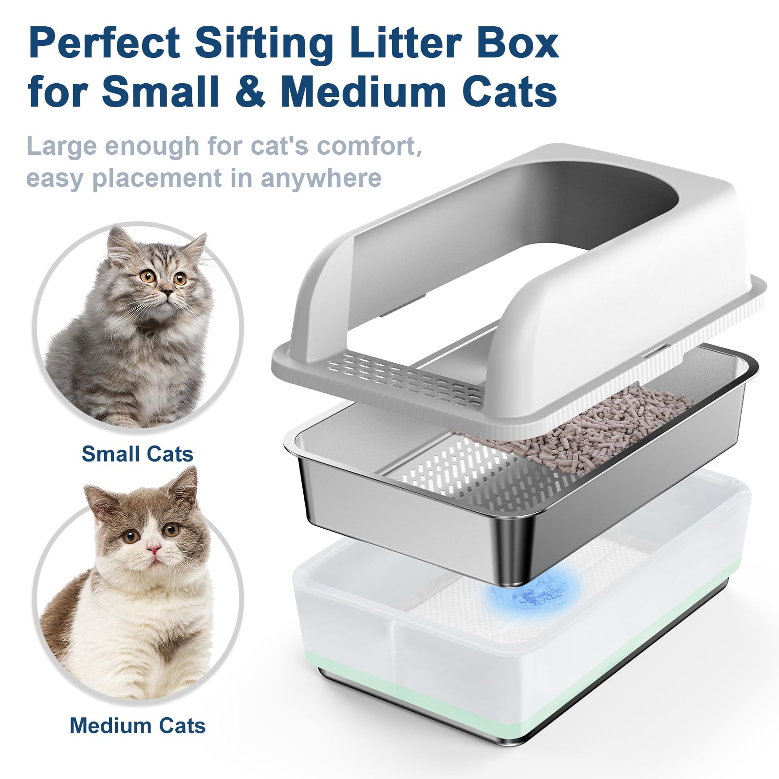 suzzipaws comparaison d'échelle montrant l'espace pour chats multiples