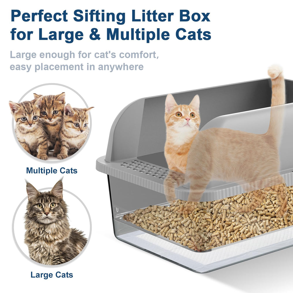 suzzipaws comparaison taille avec chat illustrant espace adapté grandes races