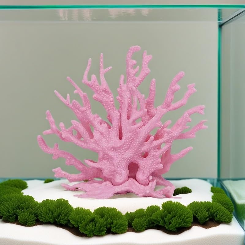 SwandTanpand corail rose intégré à une composition aquascape harmonieuse