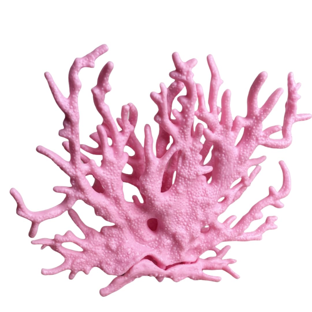 SwandTanpand corail rose face montrant couleur vive et esthétique