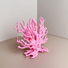 SwandTanpand corail rose échelle à côté d'une règle pour taille précise