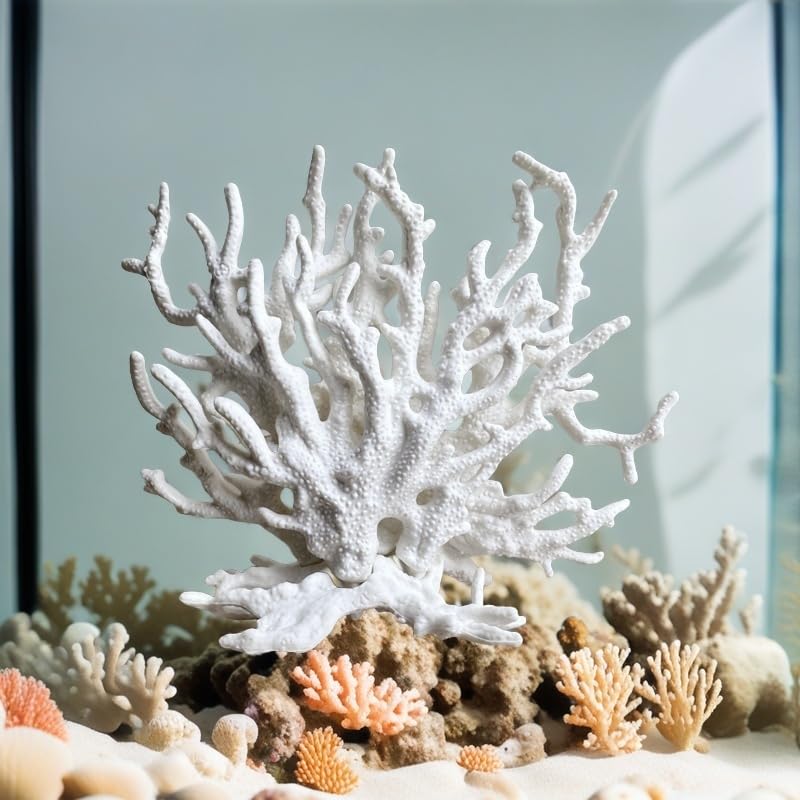 SwandTanpand corail blanc intégré avec plantes créant paysage aquascape