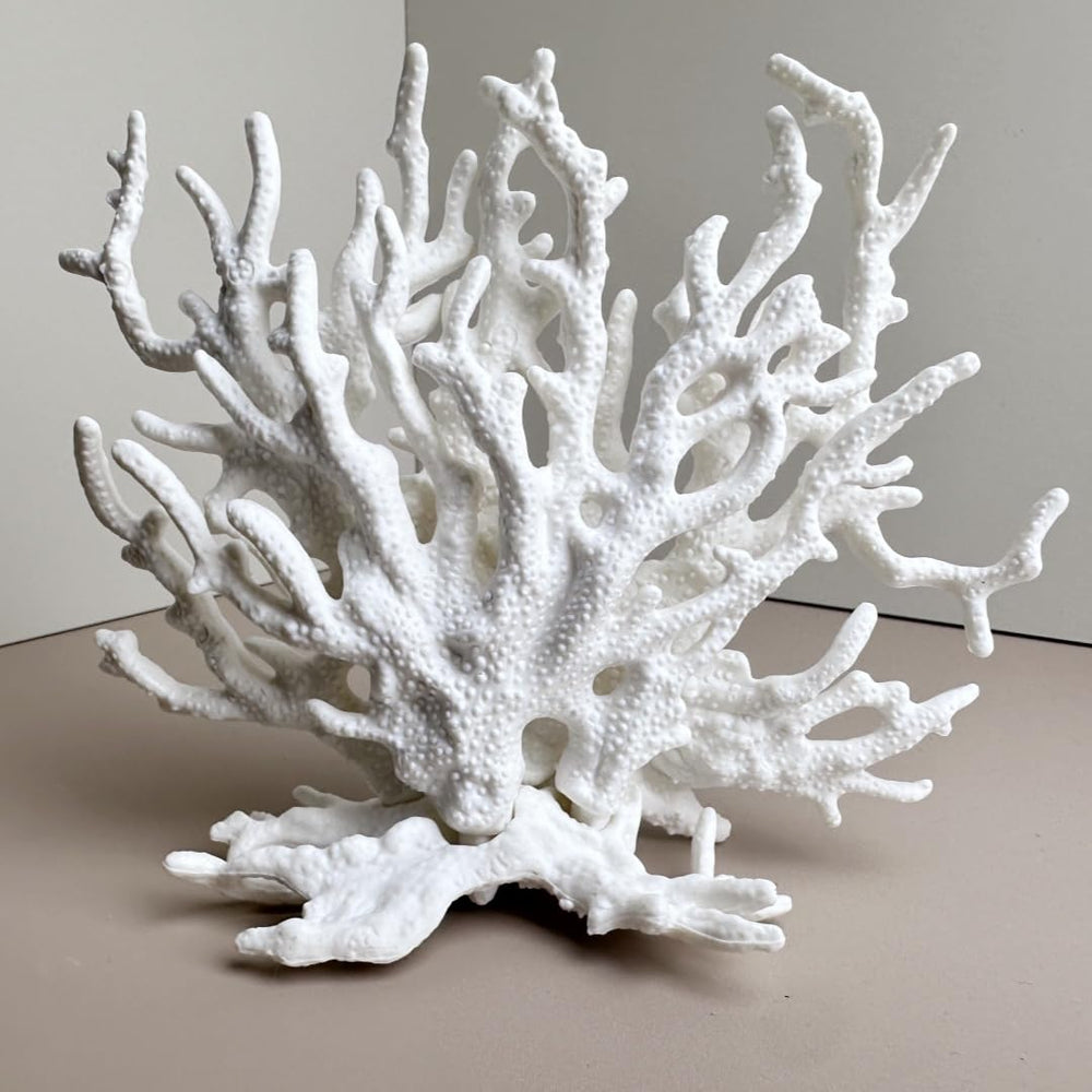 SwandTanpand corail blanc cavité refuge utile pour bettas et petits poissons