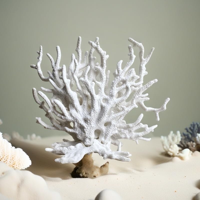SwandTanpand corail blanc emballage montrant soin et information produit