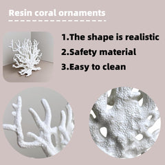 SwandTanpand corail blanc gros plan texture révélant surface imperméable