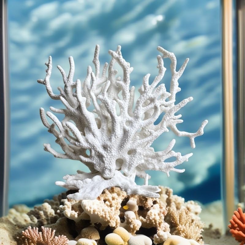 SwandTanpand corail blanc éclairage accentuant reliefs pour photo d'aqua
