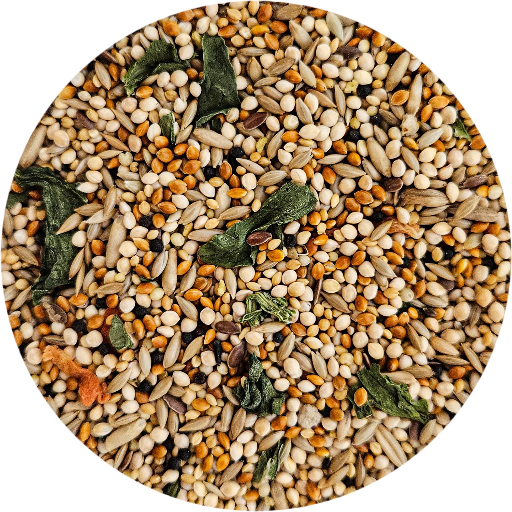 Mangeoire remplie avec Sweet Harvest utilisée en jardin pour attirer les finches