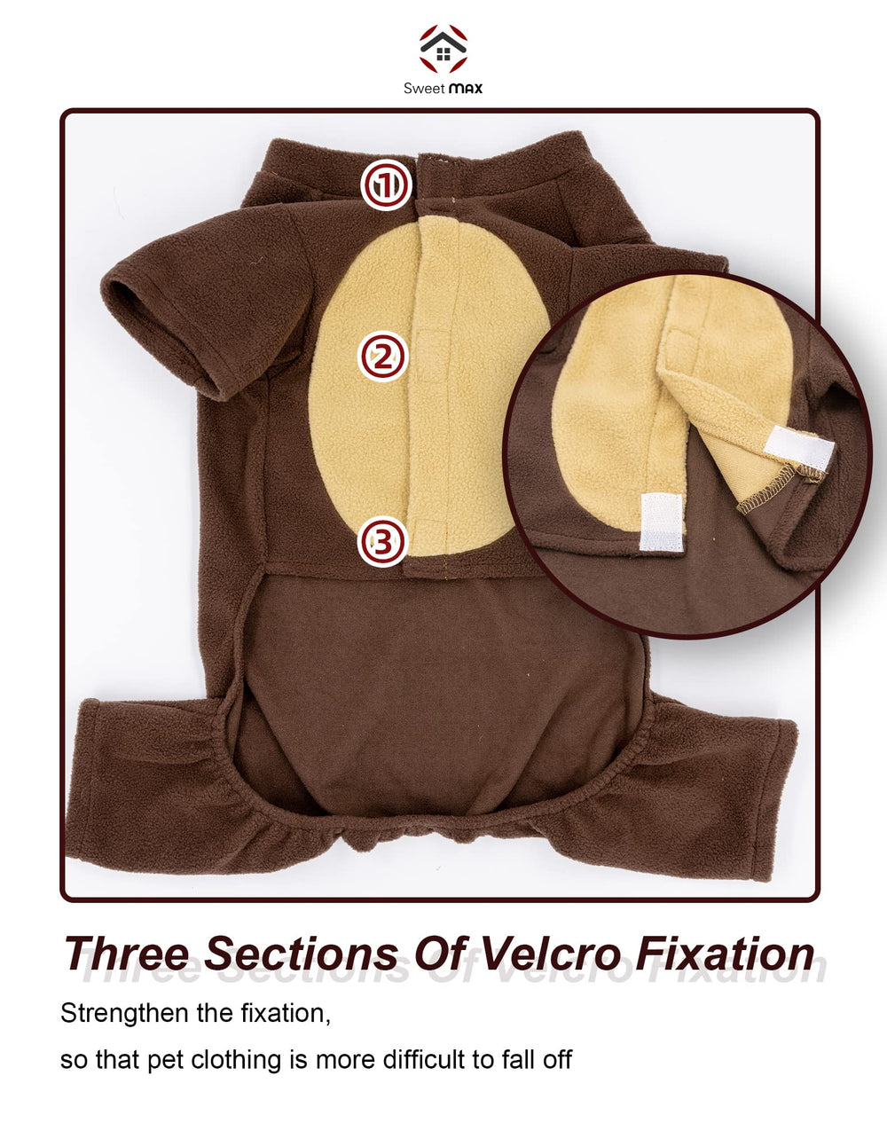 SWEET MAX chat taille Medium dans le costume, silhouette compacte et charmante