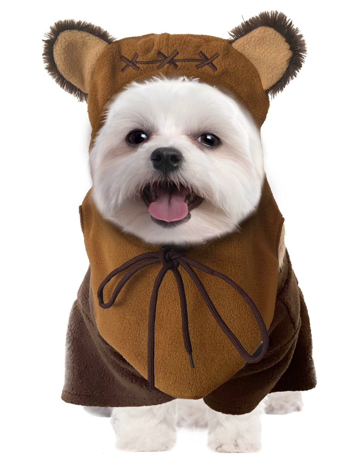 SWEET MAX devant du costume ours montrant ensemble coiffe et pull, idéal pour photos