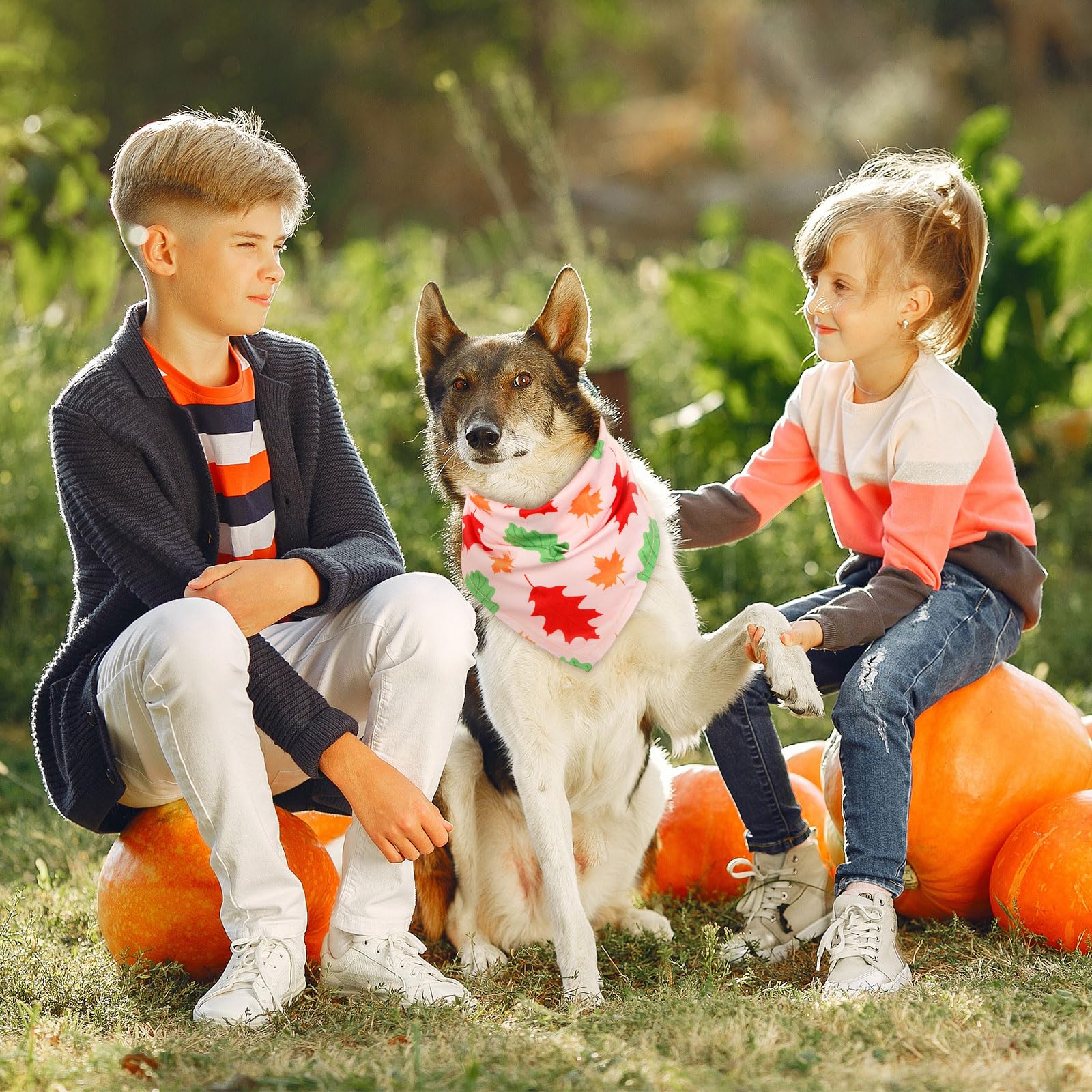 sweetude scène familiale avec chien portant bandana pour photos et fêtes
