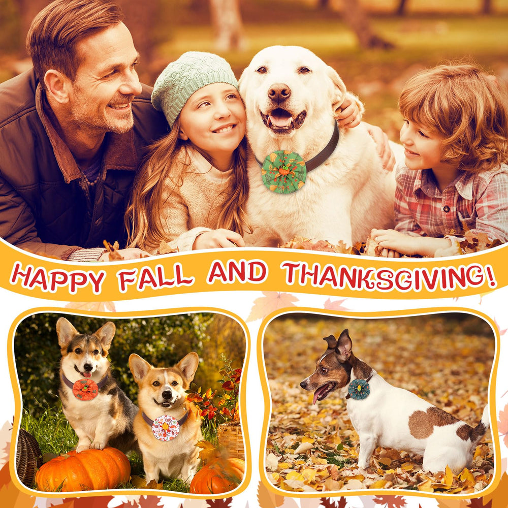 Sweetude scène fête Thanksgiving chiens décorés, parfait pour photos