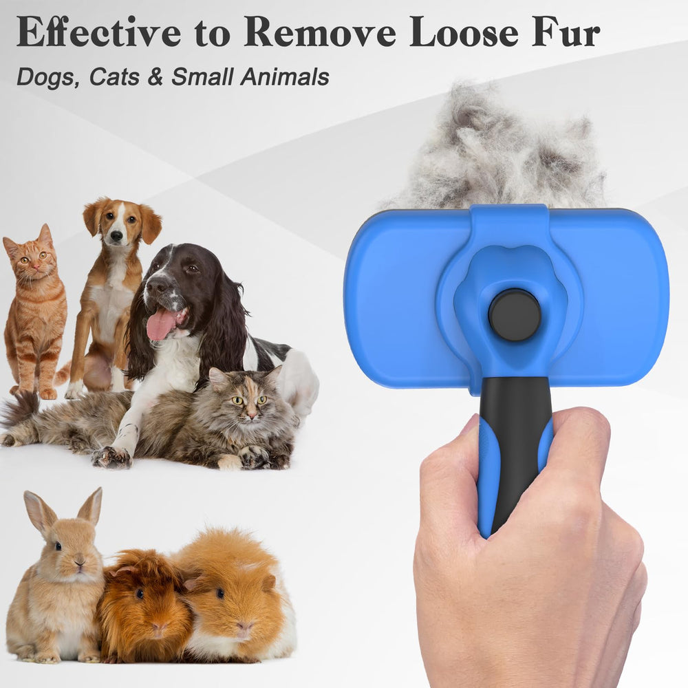 Swihauk brosse utilisée sur un chat pour un brossage doux et efficace