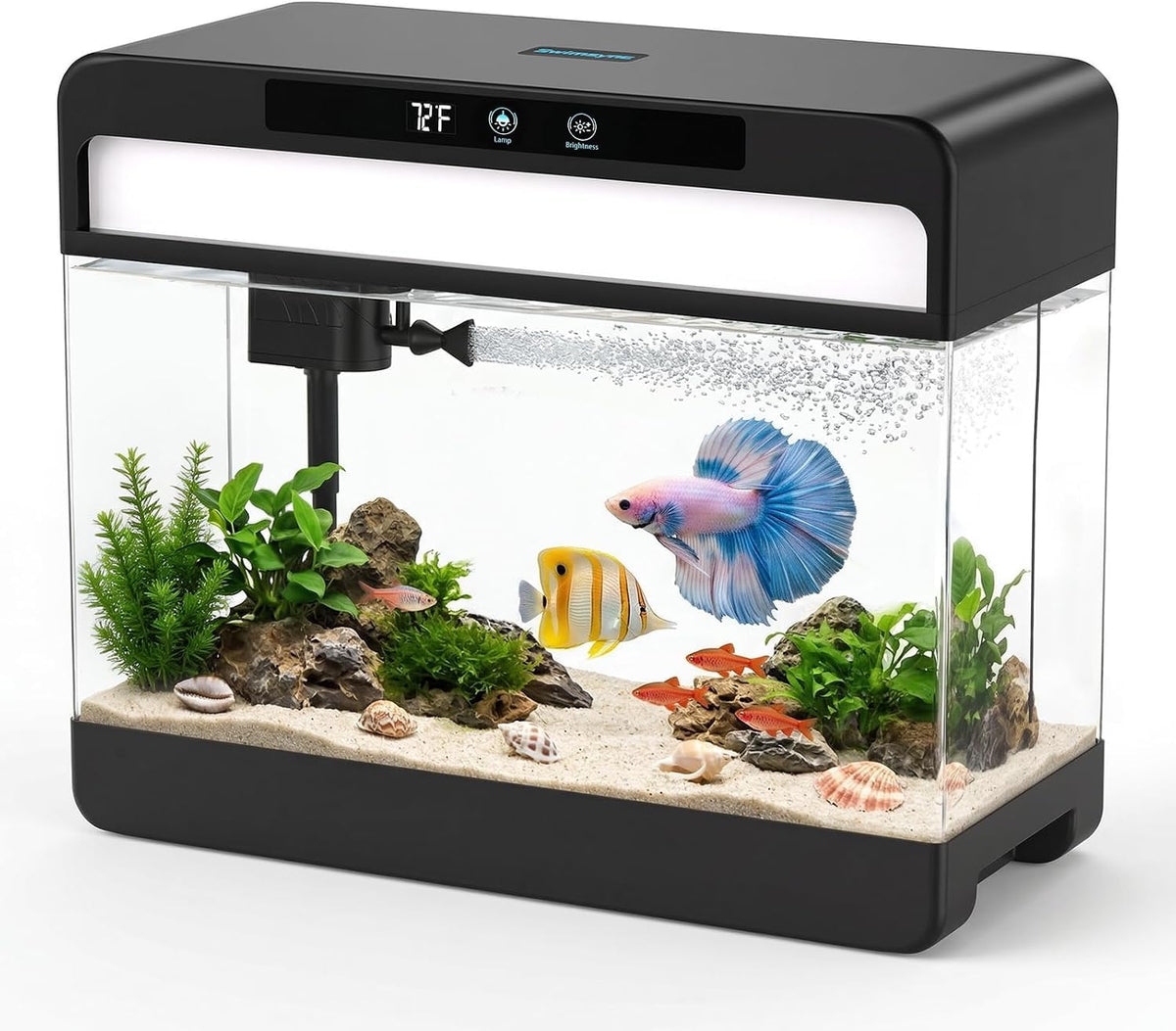 SWIMSYNC vue avant de l’aquarium noir, design compact et prêt à l’emploi