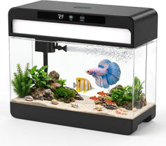 SWIMSYNC vue avant de l’aquarium noir, design compact et prêt à l’emploi