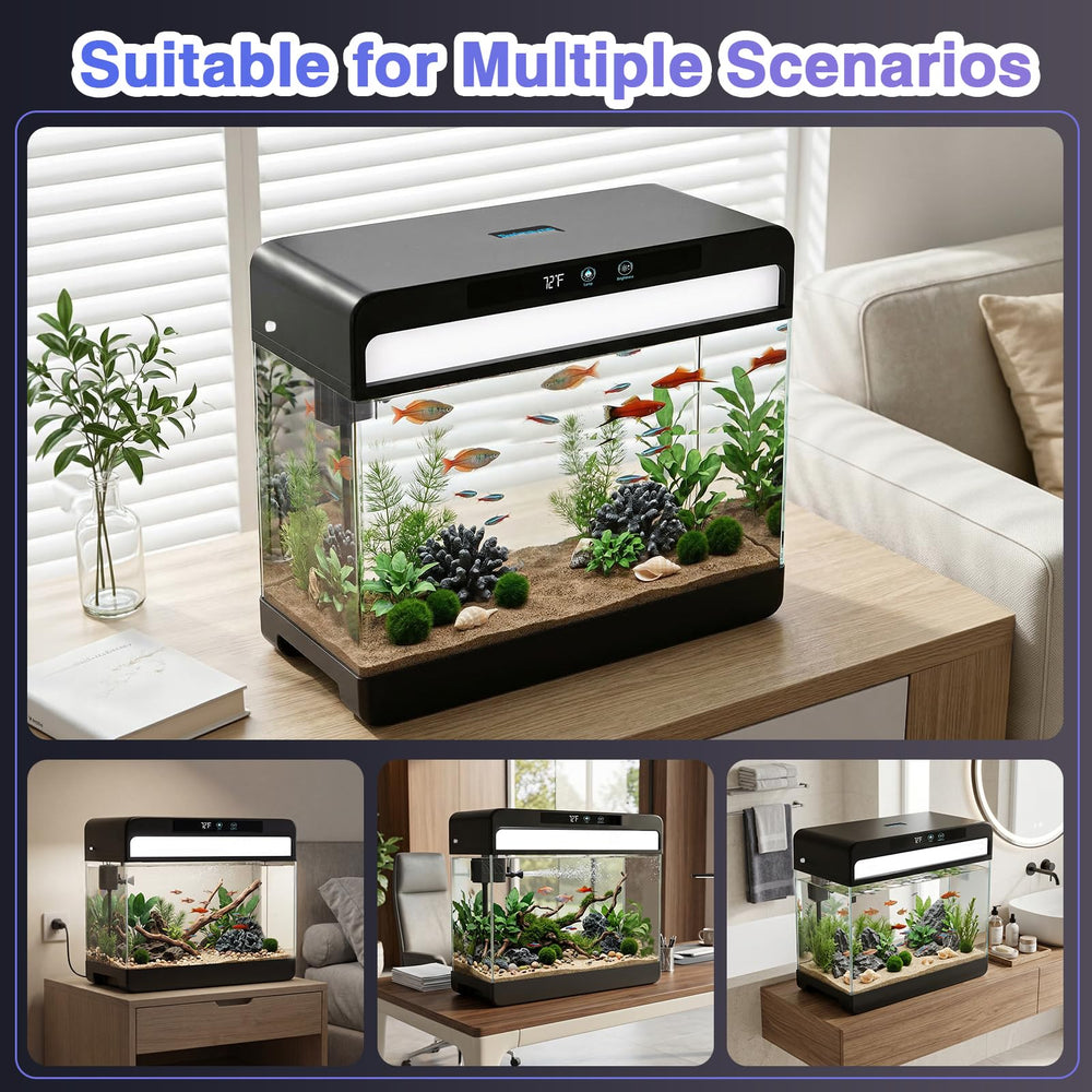 SWIMSYNC aquarium posé sur un bureau, décoratif et adapté aux petits espaces