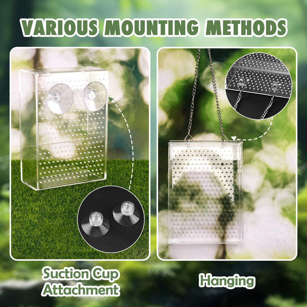 Swirge mangeoire à l’échelle, dimensions claires pour choix adapté au terrarium