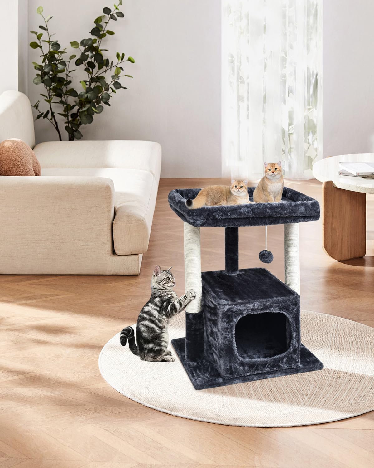 SYANDLVY arbre à chat intégré en salon apportant confort au chat et style