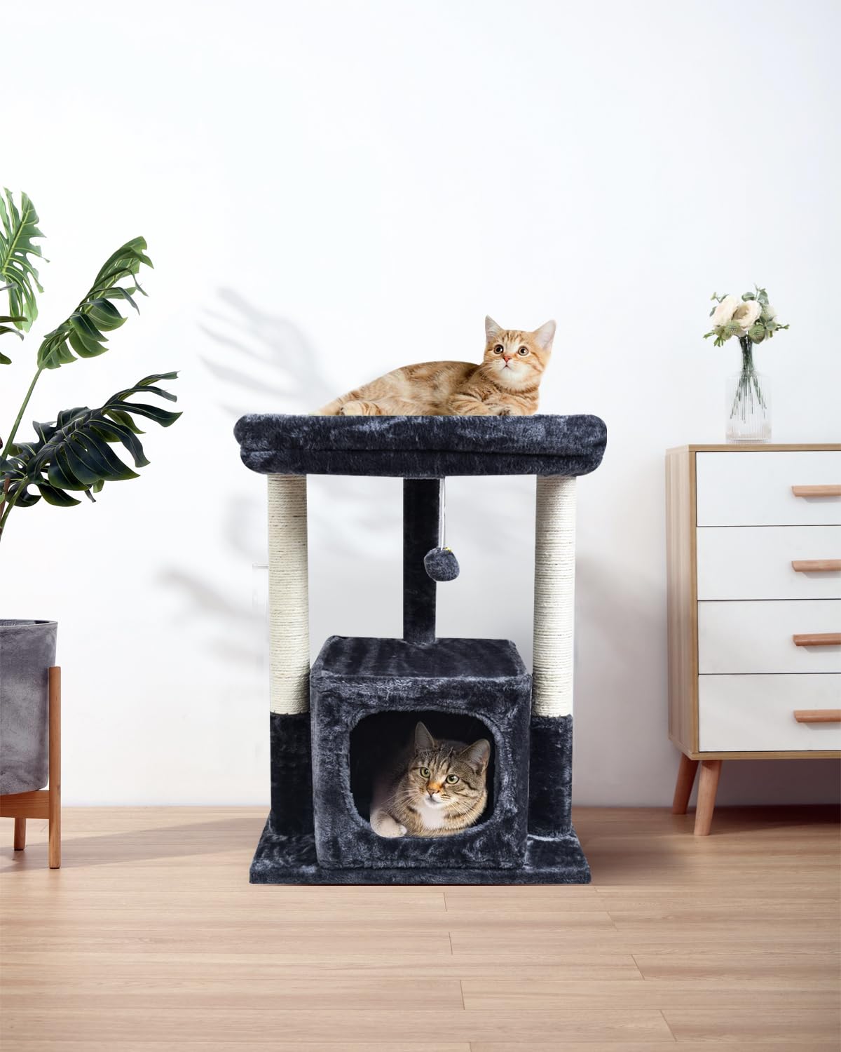 SYANDLVY comparaison taille avec chat montrant proportions adaptées et sécurité