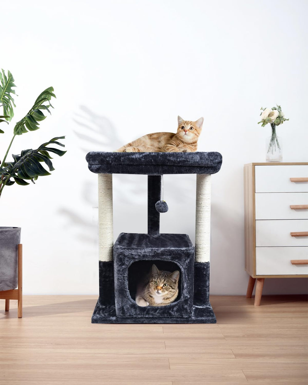 SYANDLVY comparaison taille avec chat montrant proportions adaptées et sécurité