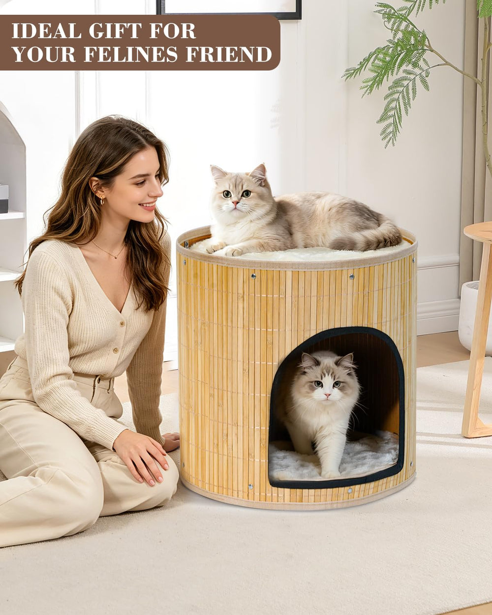SYANDLVY maison chat pliée à plat pour transport et rangement facile
