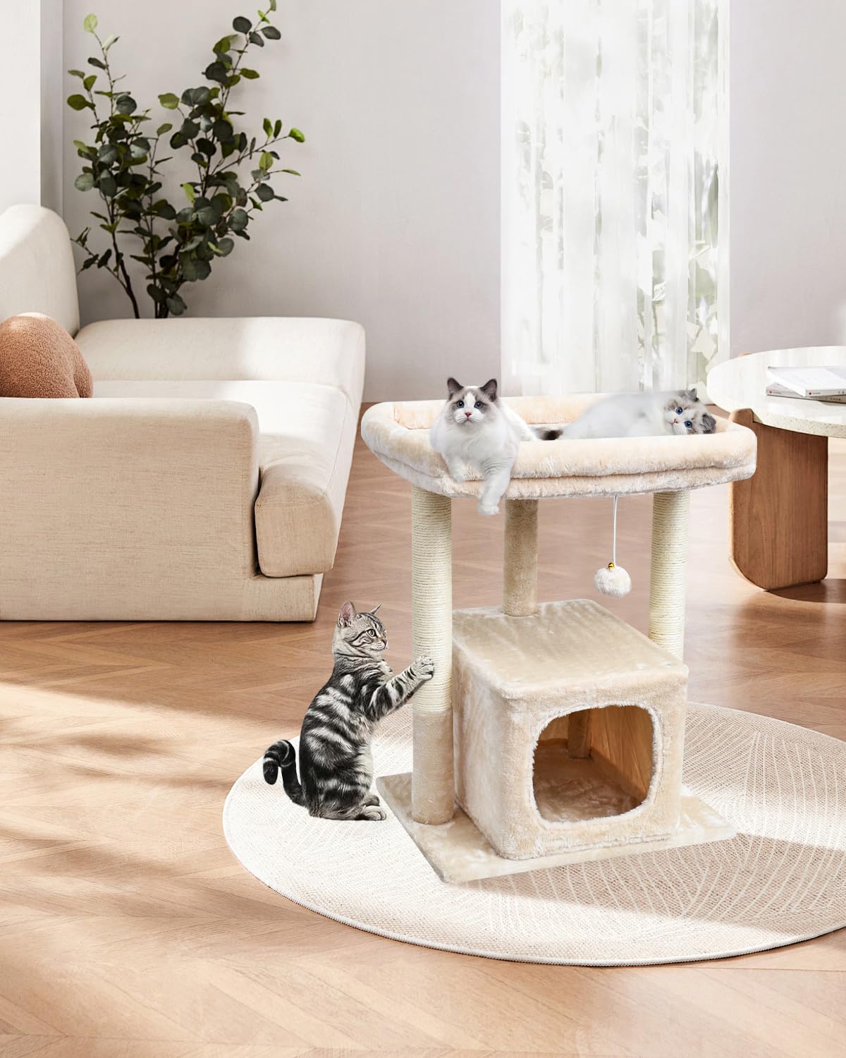 SYANDLVY arbre à chat dans salon, invite le chat à jouer et se reposer