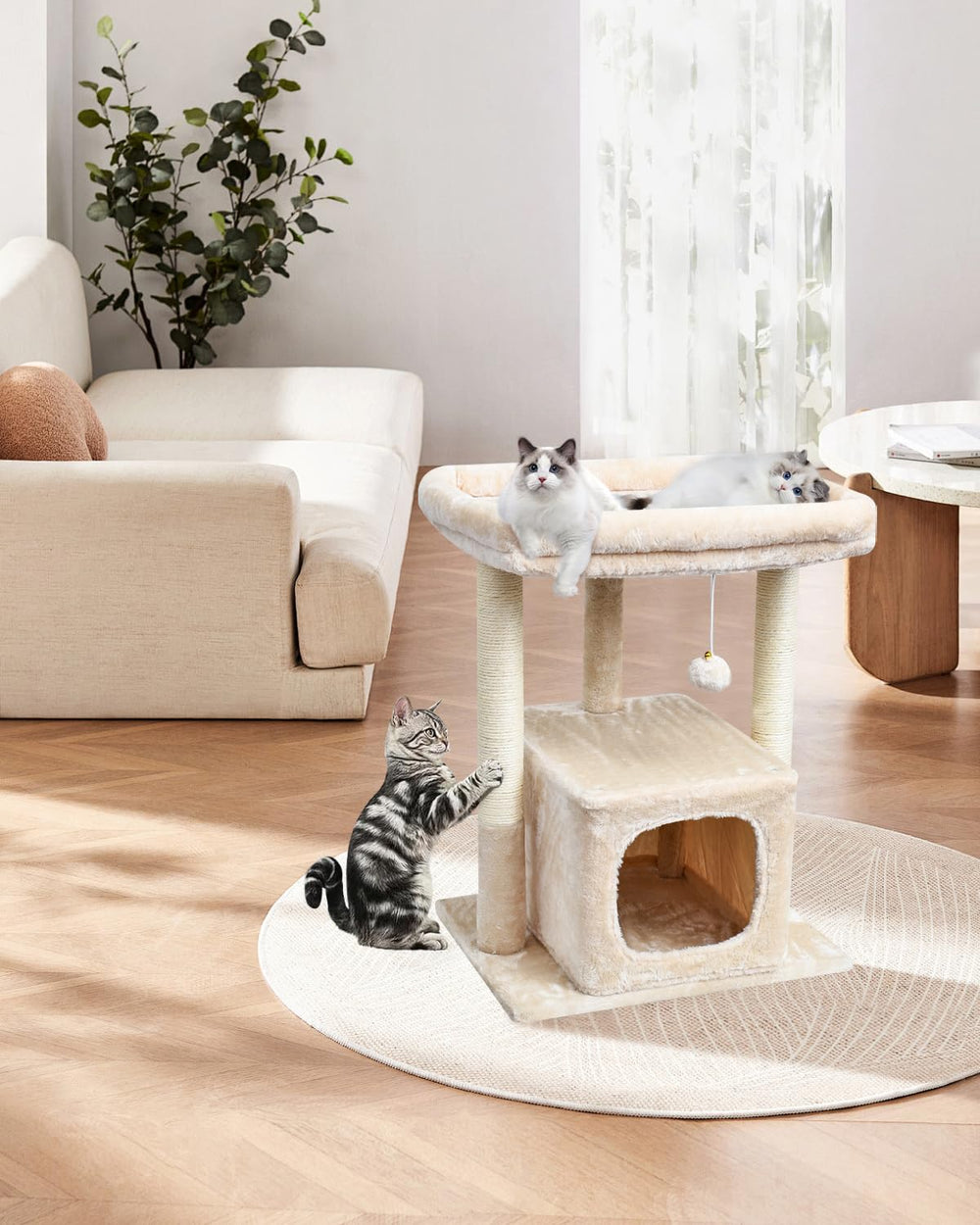 SYANDLVY arbre à chat dans salon, invite le chat à jouer et se reposer