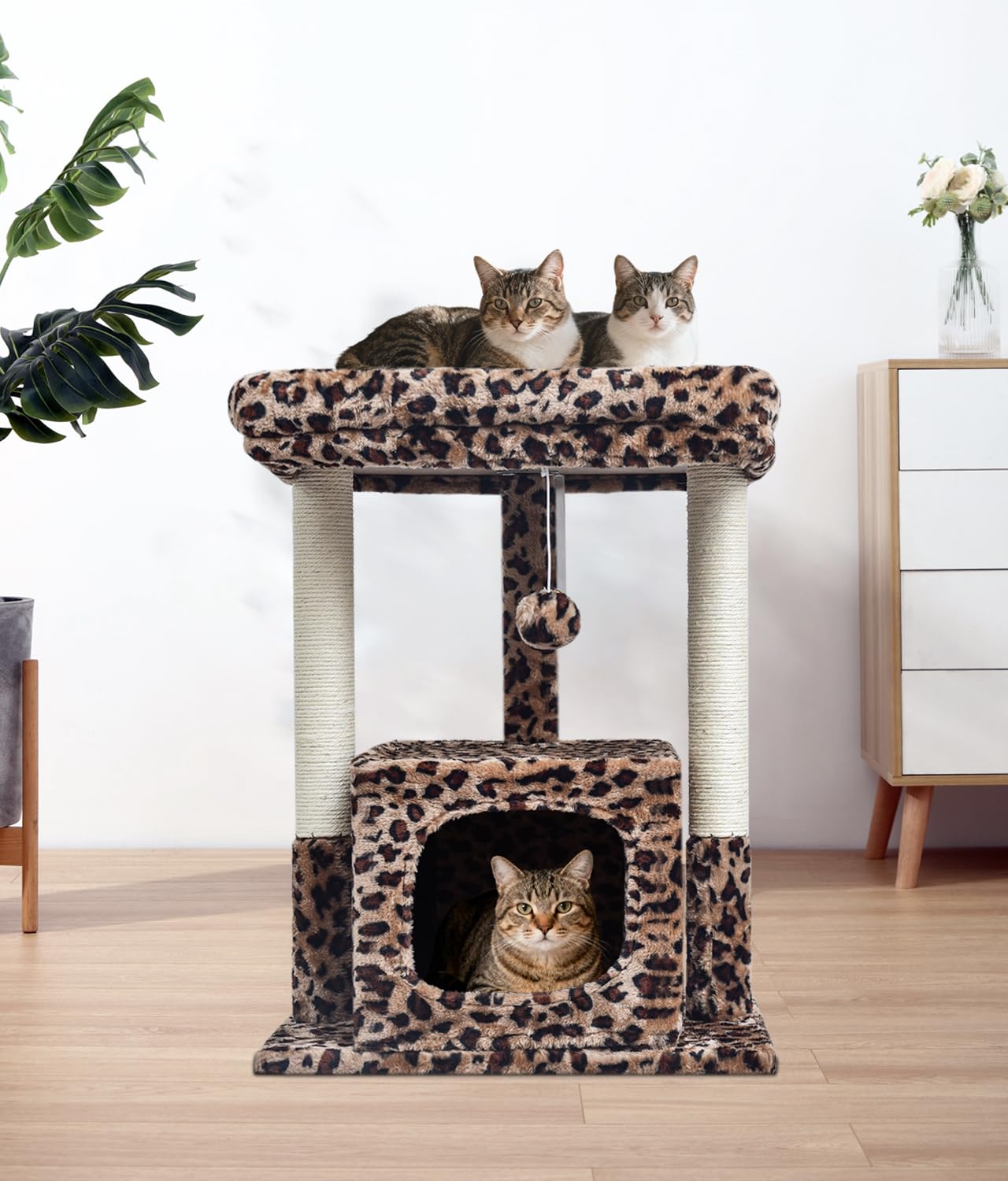 SYANDLVY peluche douce gros plan, texture accueillante pour chats