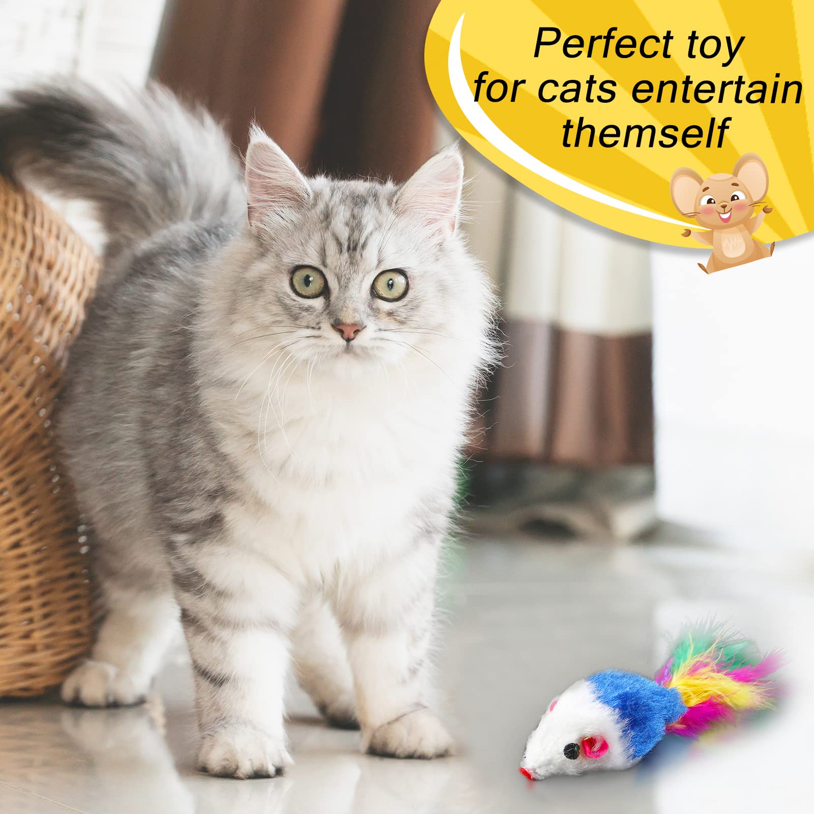Présentation en éventail des couleurs Syhood, renouvelle intérêt du chat