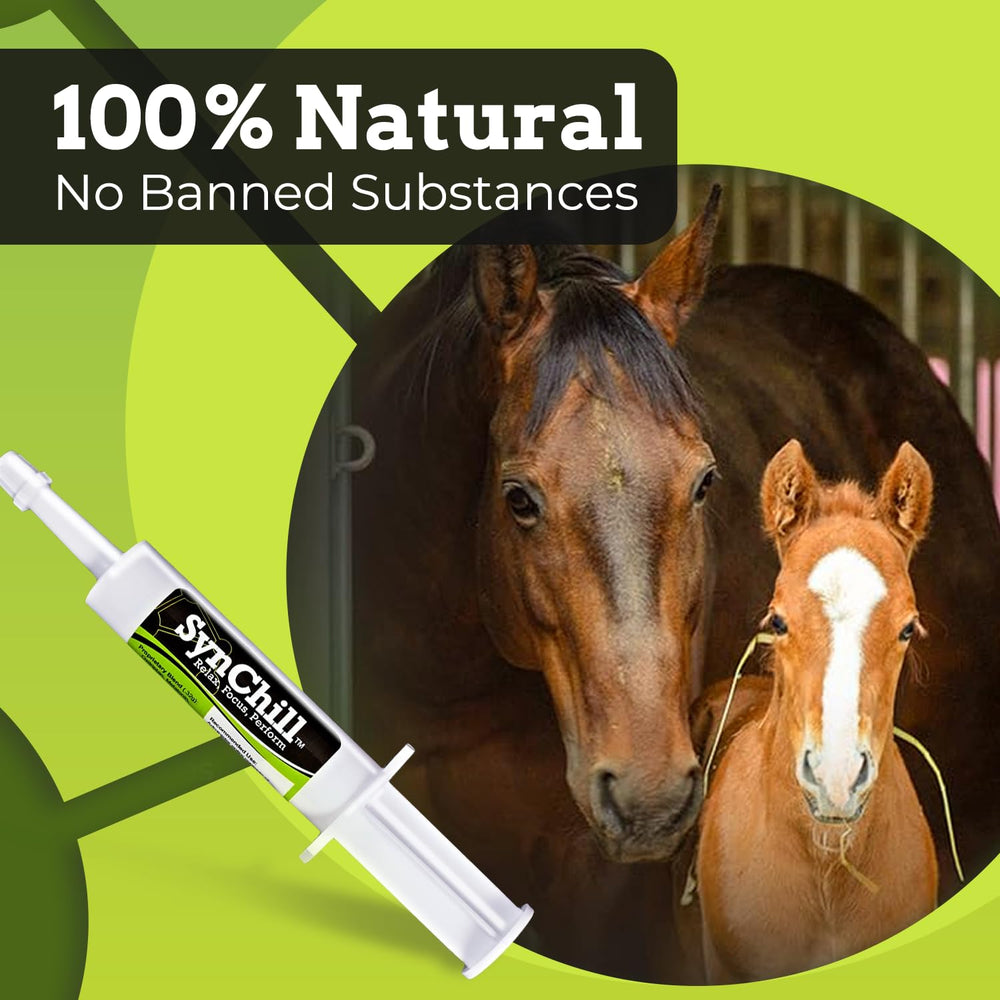 SynNutra Equine SynChill gel ambré montrant texture et acceptation gustative facilitée