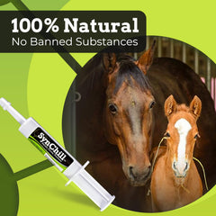SynNutra Equine SynChill gel ambré montrant texture et acceptation gustative facilitée