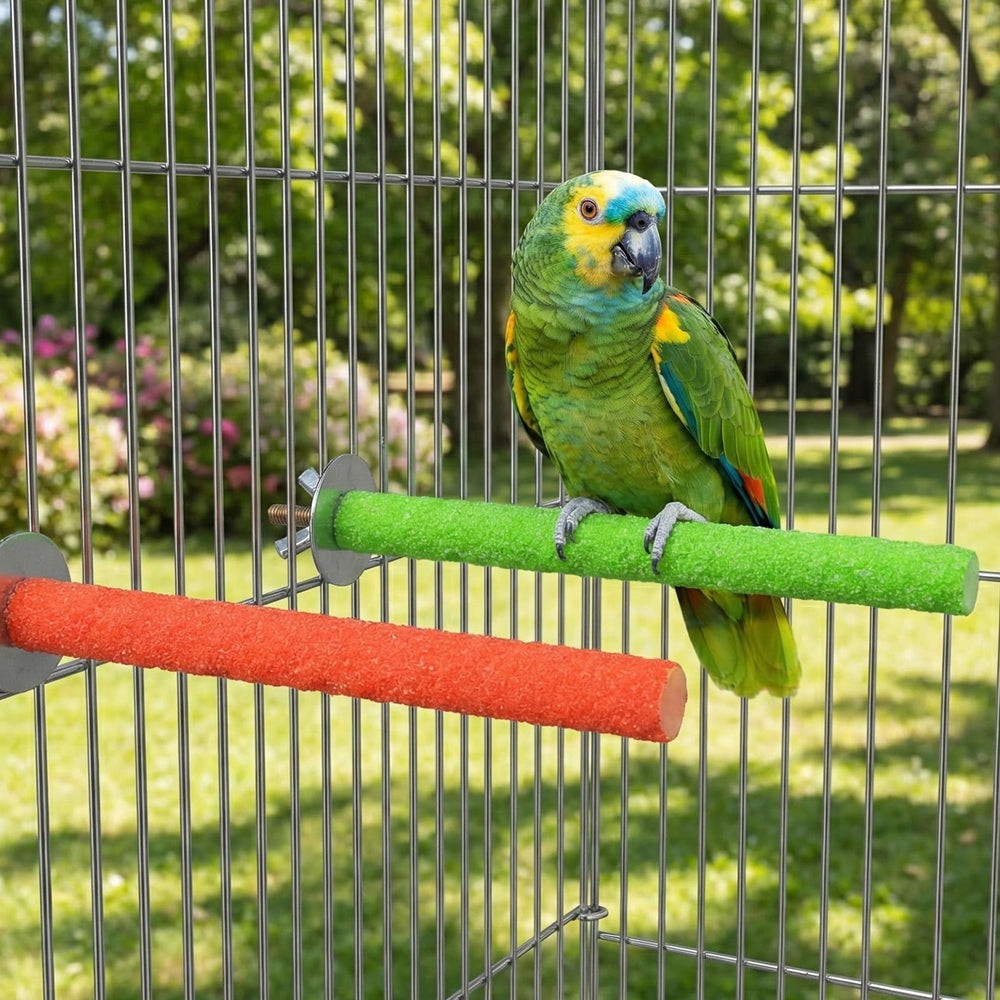 SynHHergyx comparaison des perchoirs long 20 cm et court 10 cm pour différents oiseaux