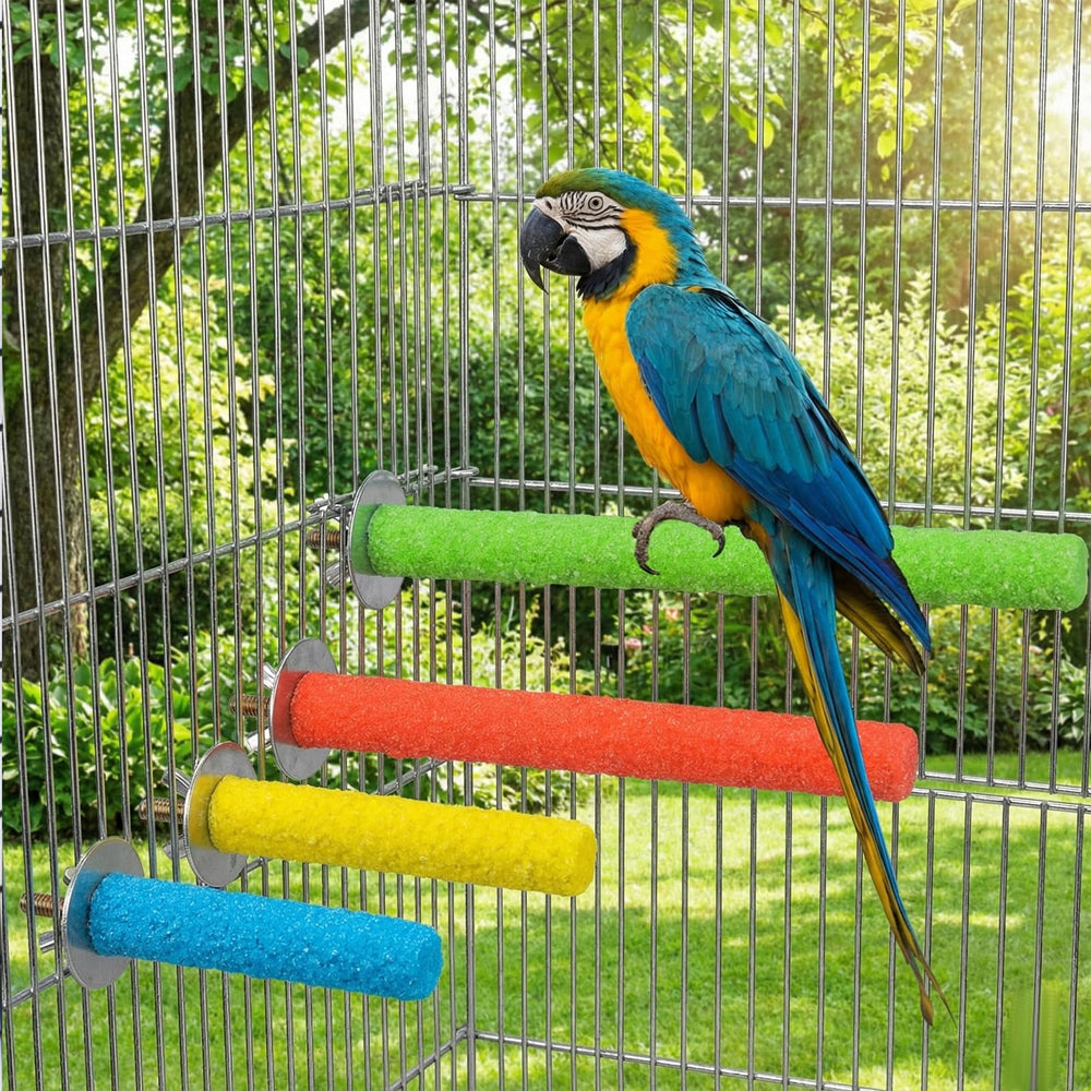 SynHHergyx focus sur les couleurs vives des perchoirs, stimulation visuelle pour oiseaux