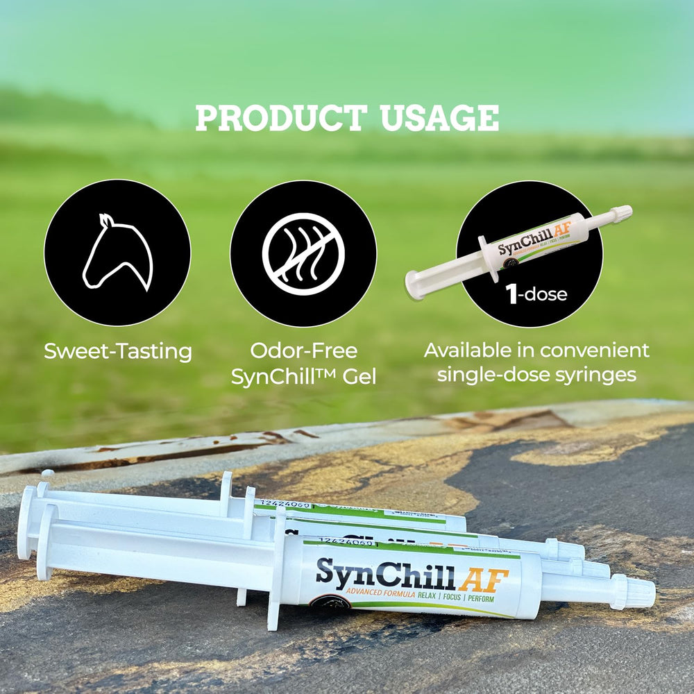 Pack SynChill AF dans trousse de voyage et stalle pour utilisation nomade