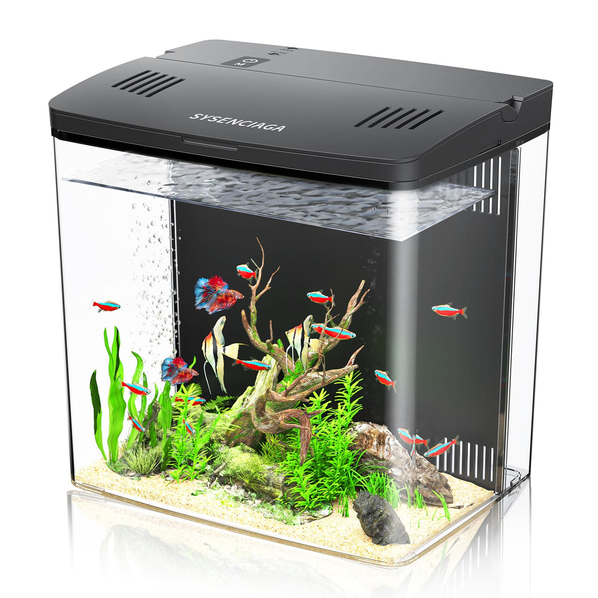 SYSENCIAGA vue de face de l’aquarium acrylique bénéfice décoratif