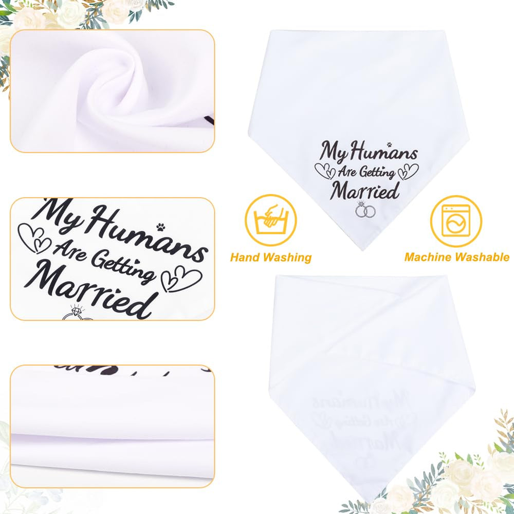 SZEE gros plan du texte « My Humans Are Getting Married » lisible et élégant