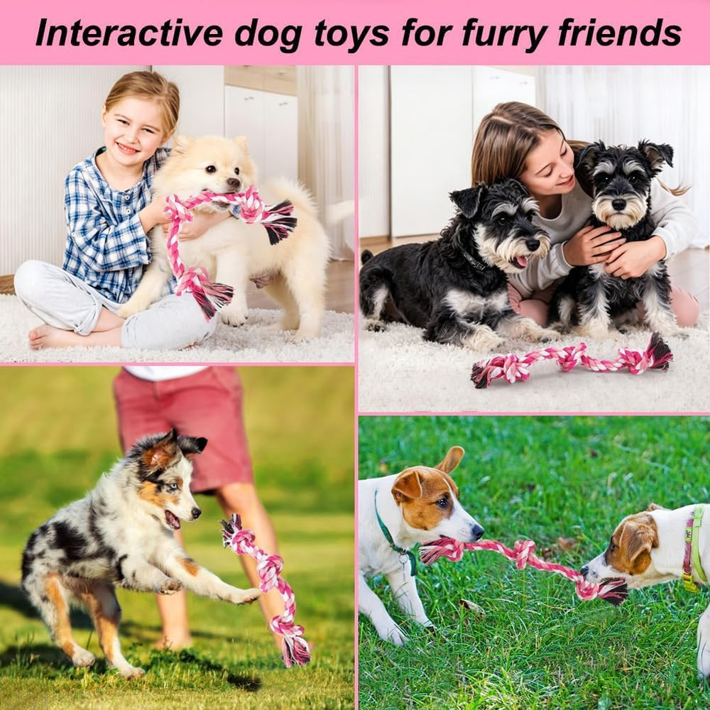 SZEE focus sur les trois nœuds offrant prises stables pour le chien