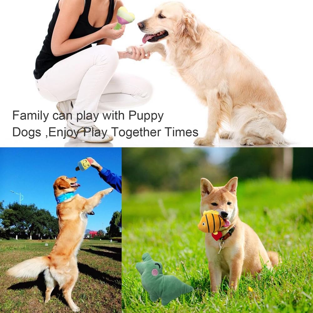 SZKOKUHO comparaison taille montrant proportions pour chiots et petits chiens