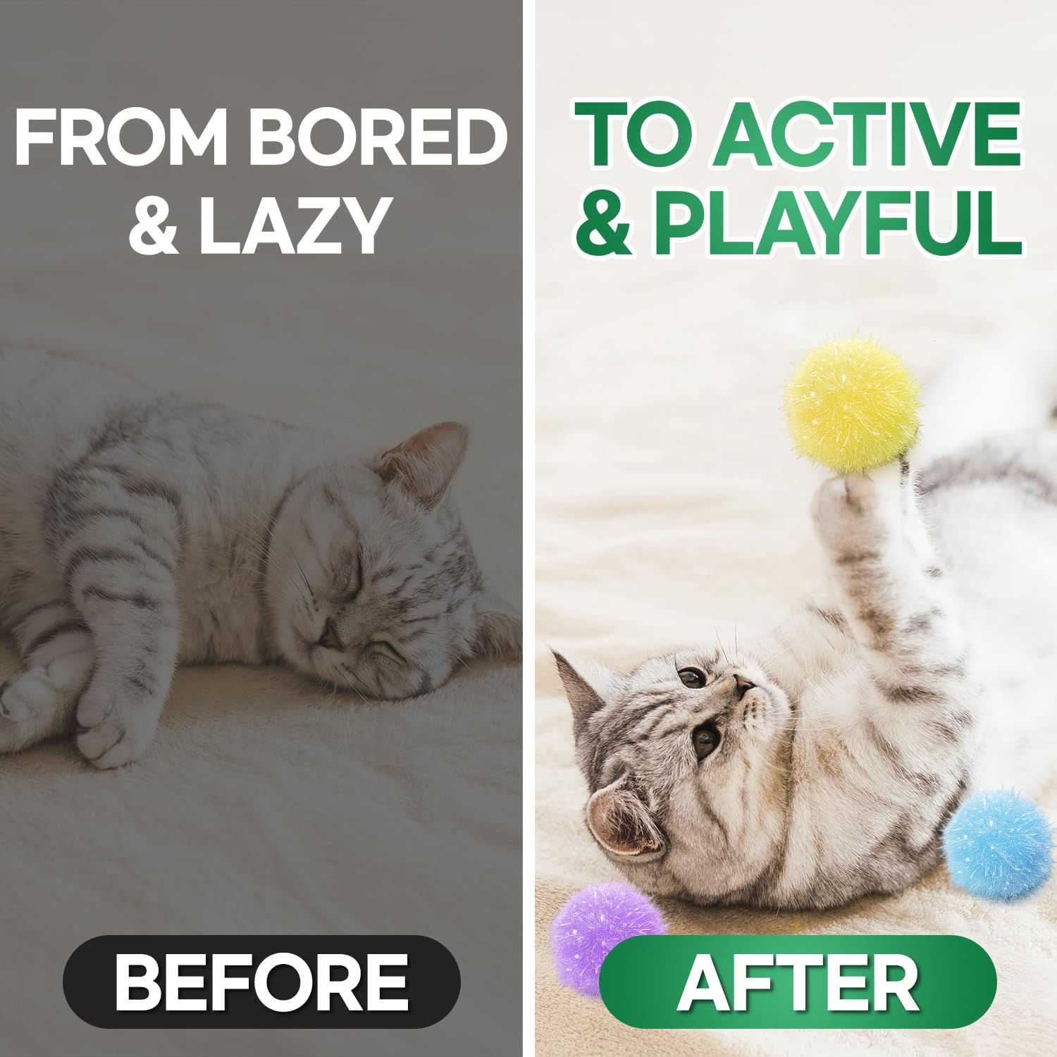 T TORTO9 chat chassant un pompon illustrant stimulation et exercice