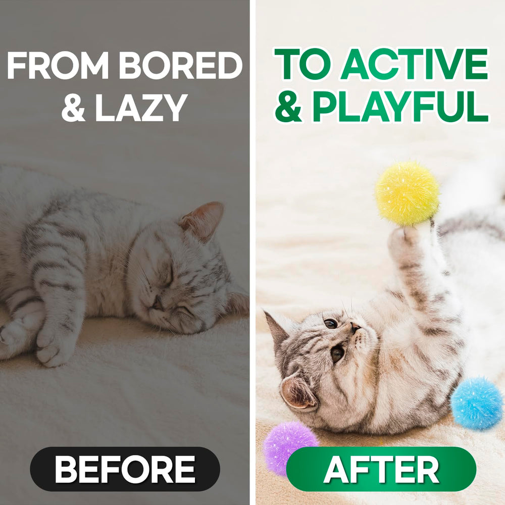 T TORTO9 chat chassant un pompon illustrant stimulation et exercice