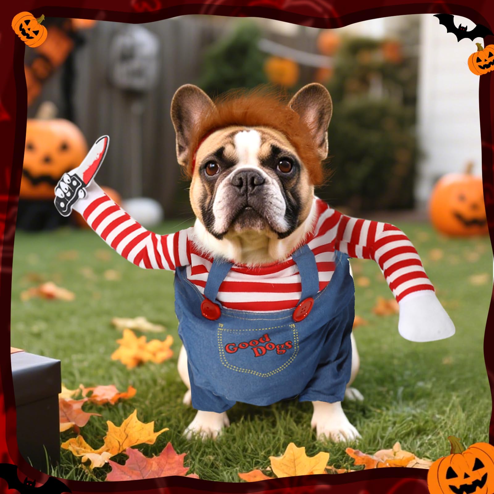 T2Y scène festive avec chien déguisé idéale pour Halloween et fêtes
