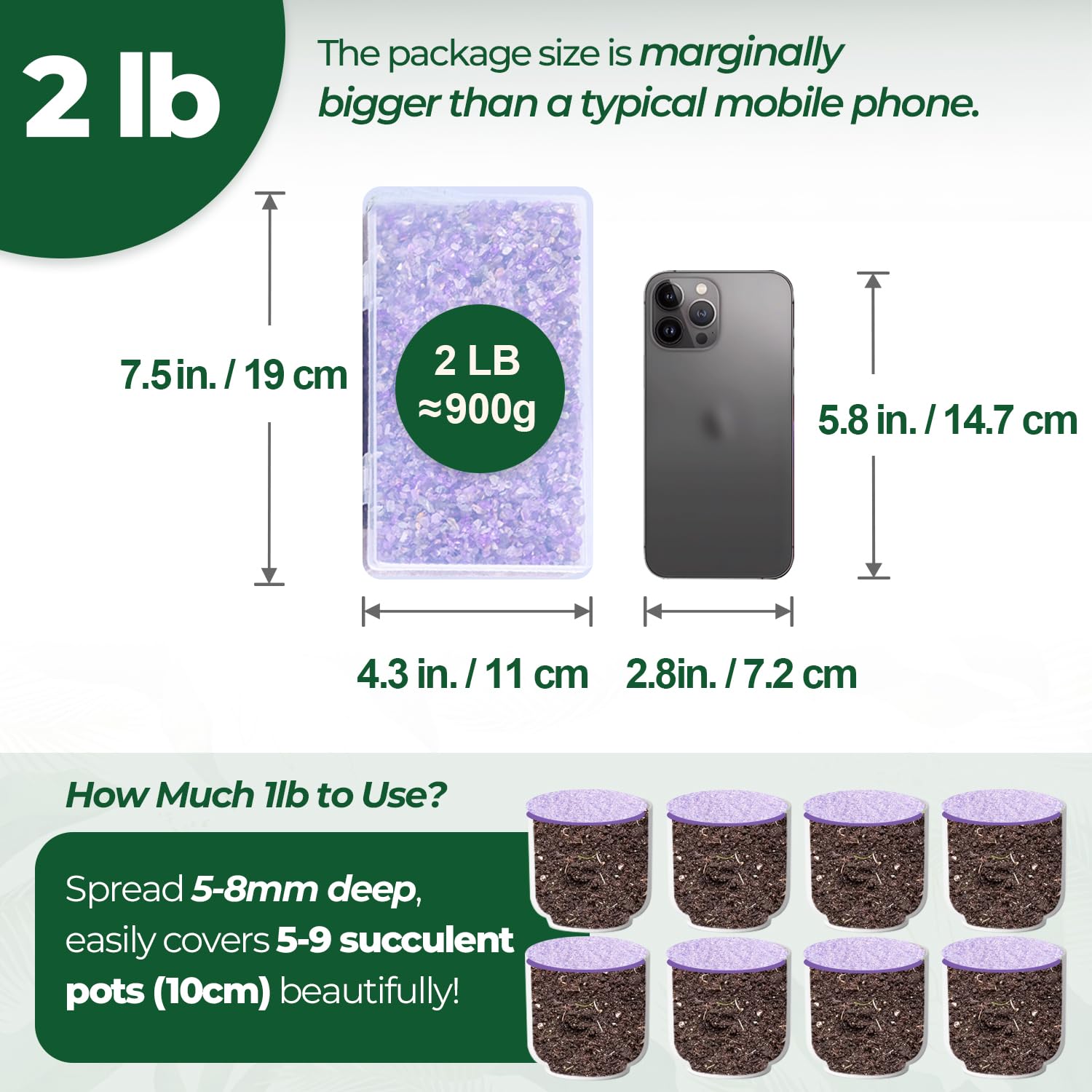 T4U chips d'améthyste dans pot de succulente pour finition soignée