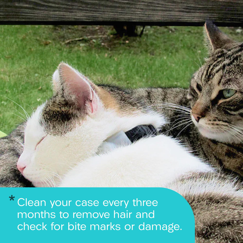 TabCat Homing Tags comparaison taille montre encombrement réduit et confort