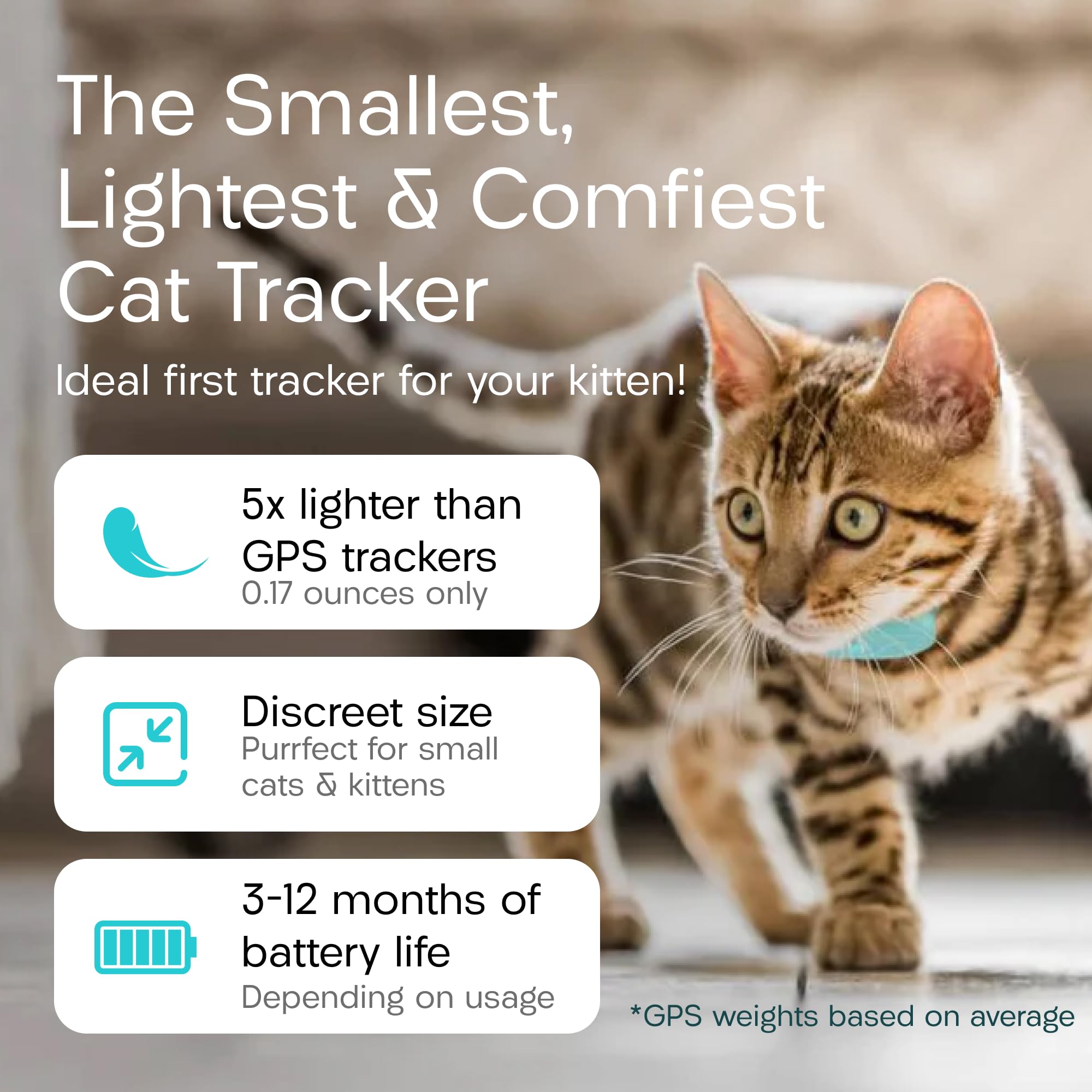 TabCat Homing Tags en action lors d'une recherche dans le jardin, guidage efficace