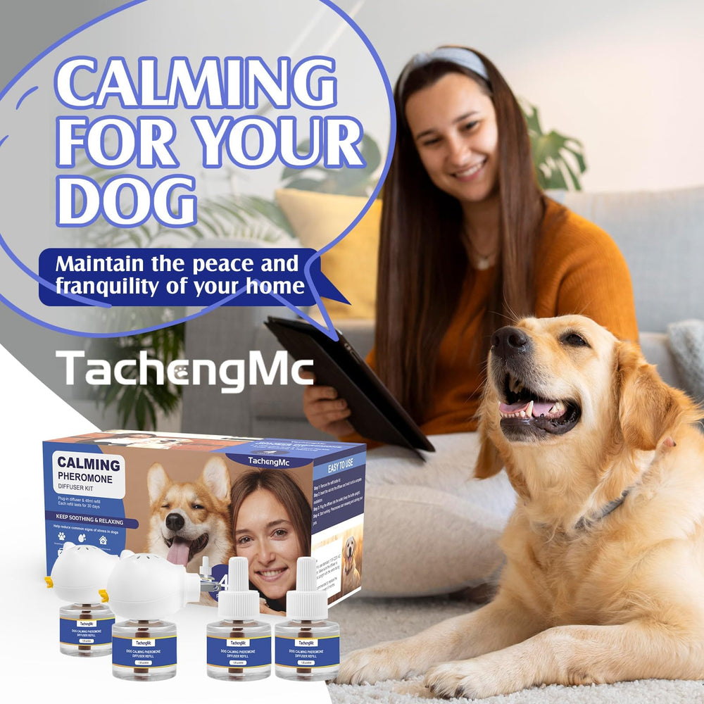 Diffuseur TachengMc en usage dans un salon apaisant pour chien relaxed