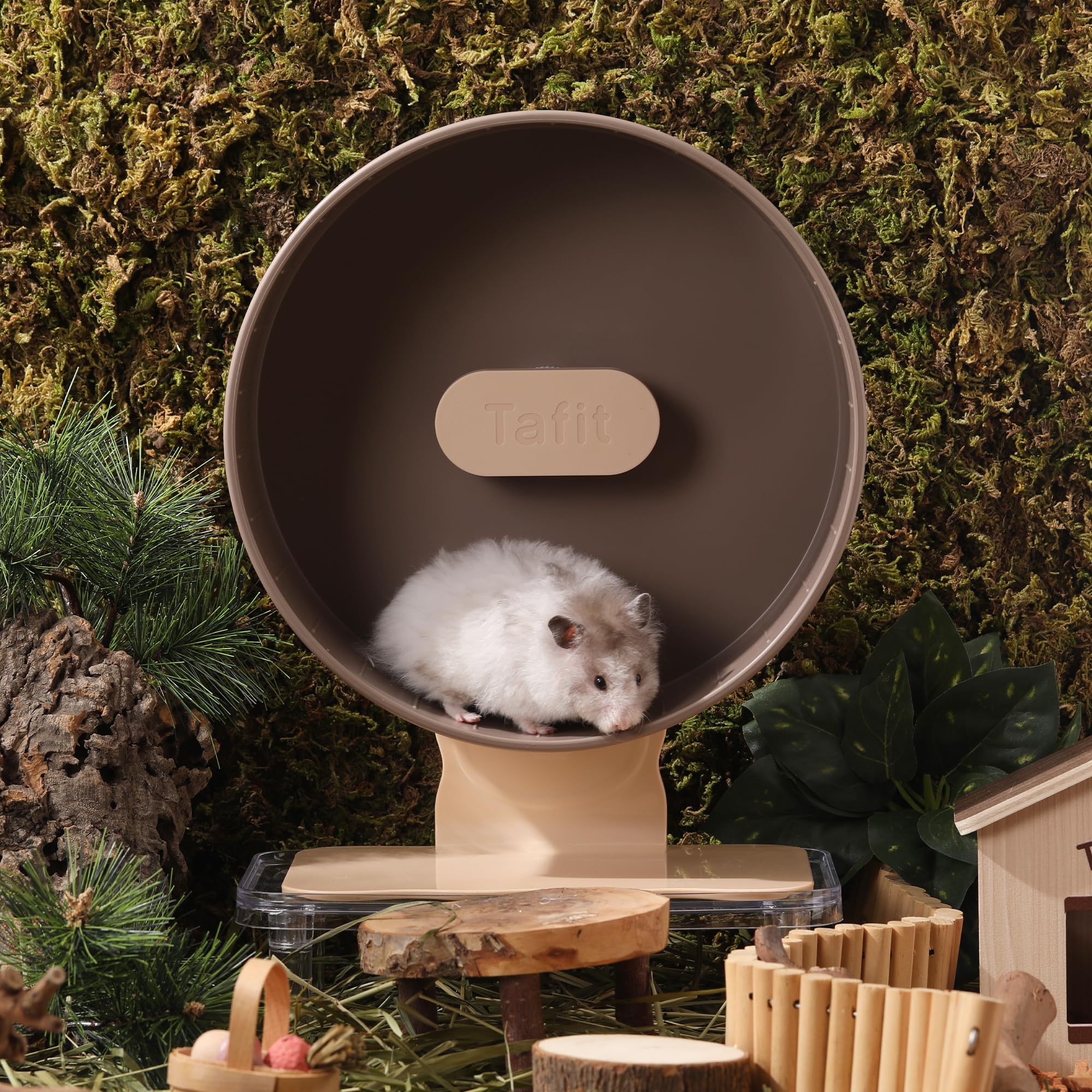 tafit roue en usage hamster illustrant activité silencieuse et sécurité