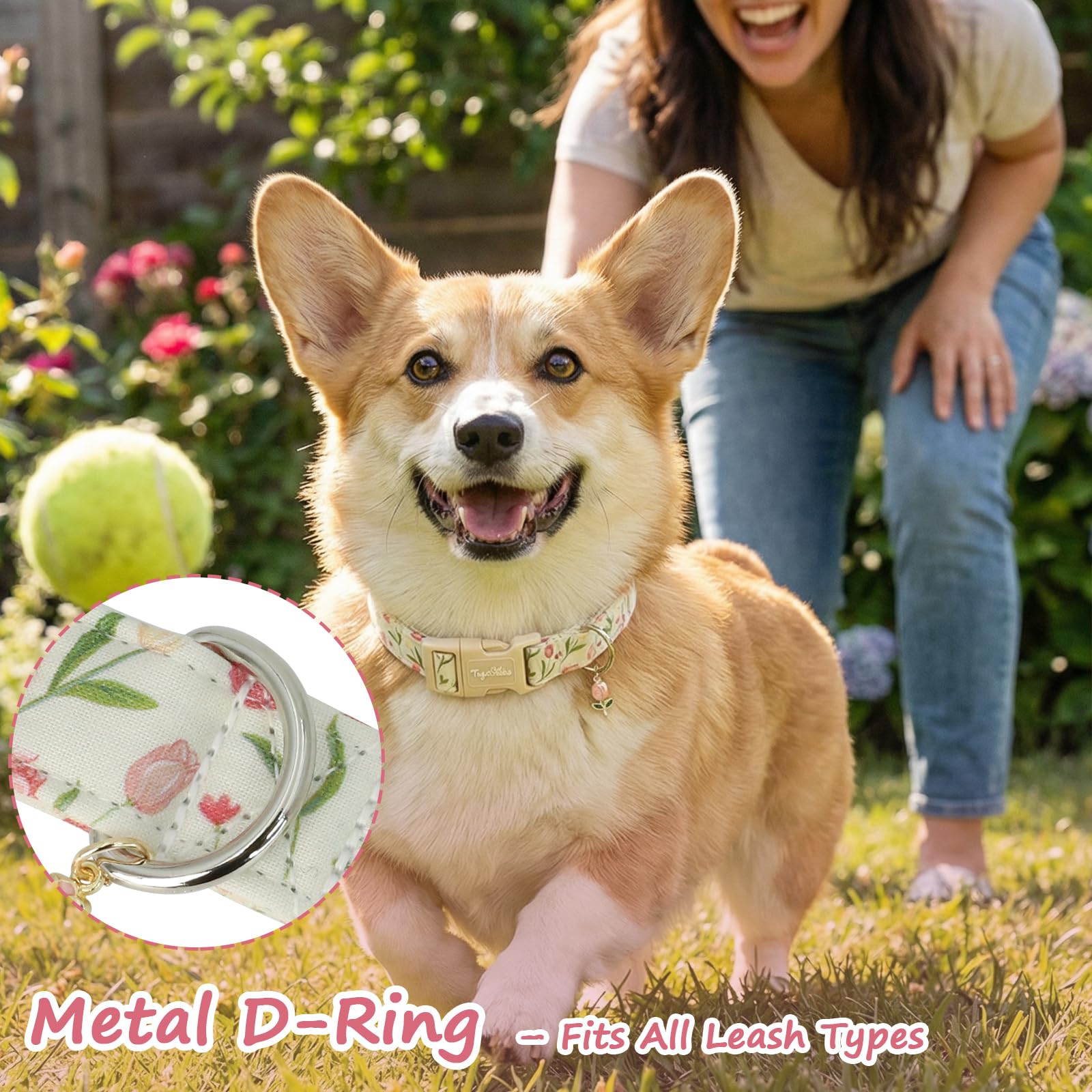 Tag4Oikia chien portant collier dehors, look estival et respirant