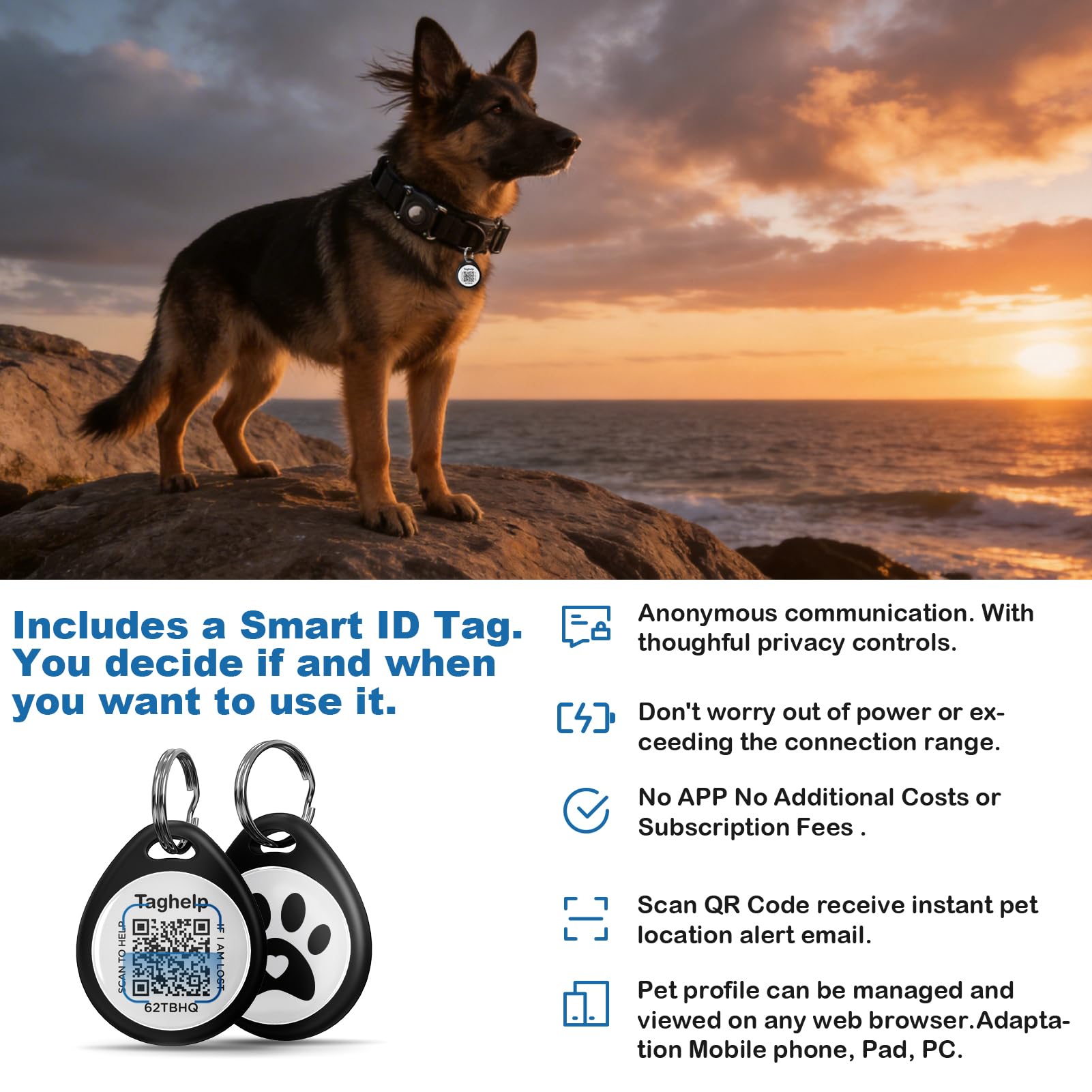 Taghelp zoom sur l'étiquette QR facilitant le retour du chien perdu